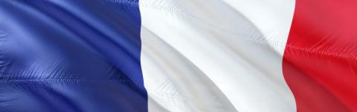 Français et e-santé