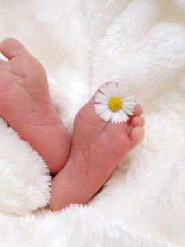 a la naissance, quelle mutuelle bébé choisir ?